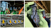 Digital Electric Cylinder Driven